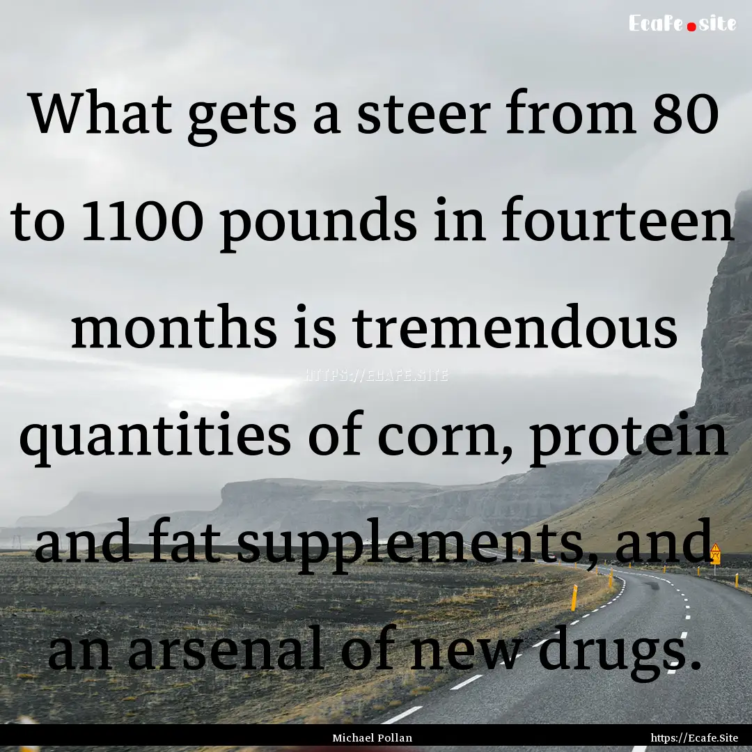 What gets a steer from 80 to 1100 pounds.... : Quote by Michael Pollan