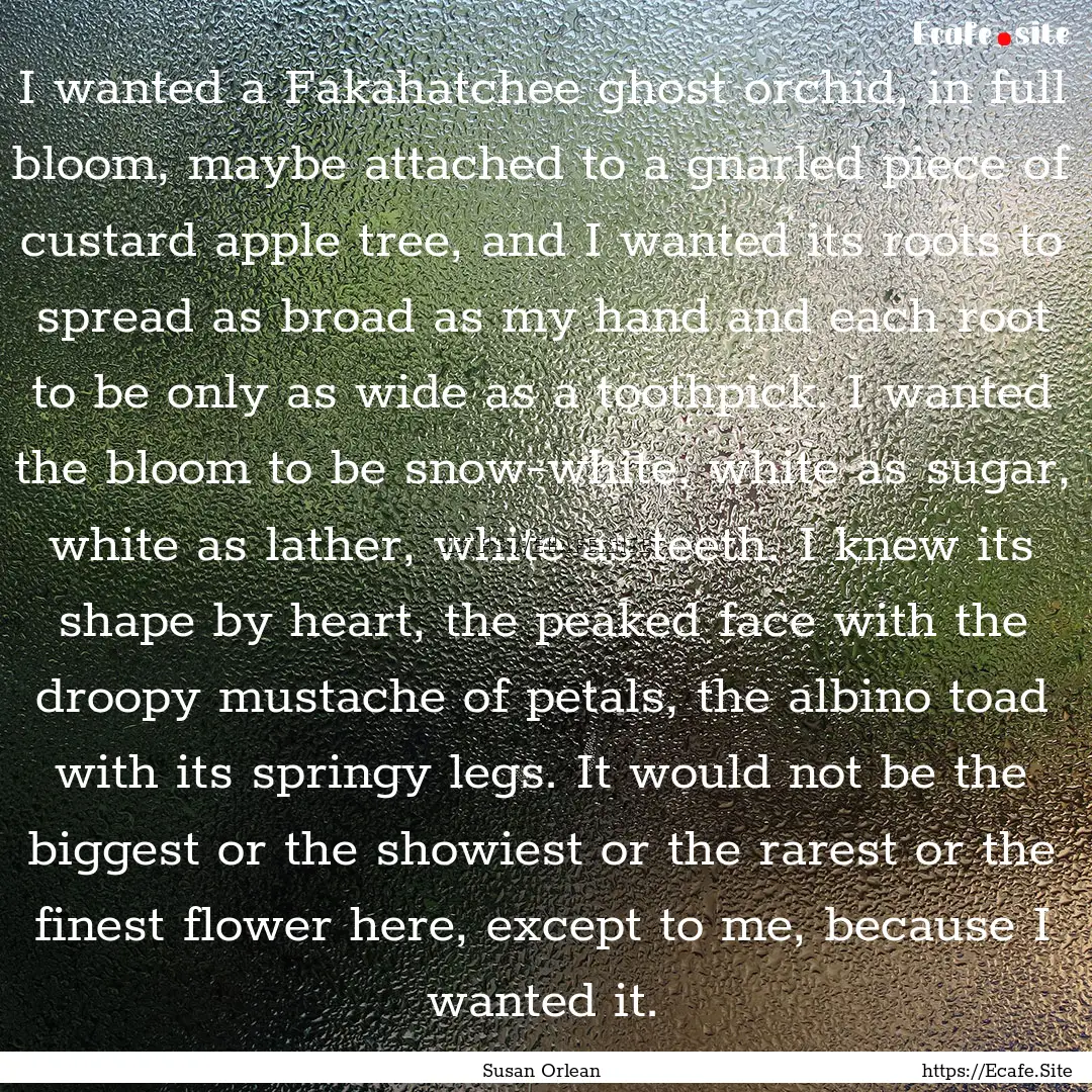 I wanted a Fakahatchee ghost orchid, in full.... : Quote by Susan Orlean