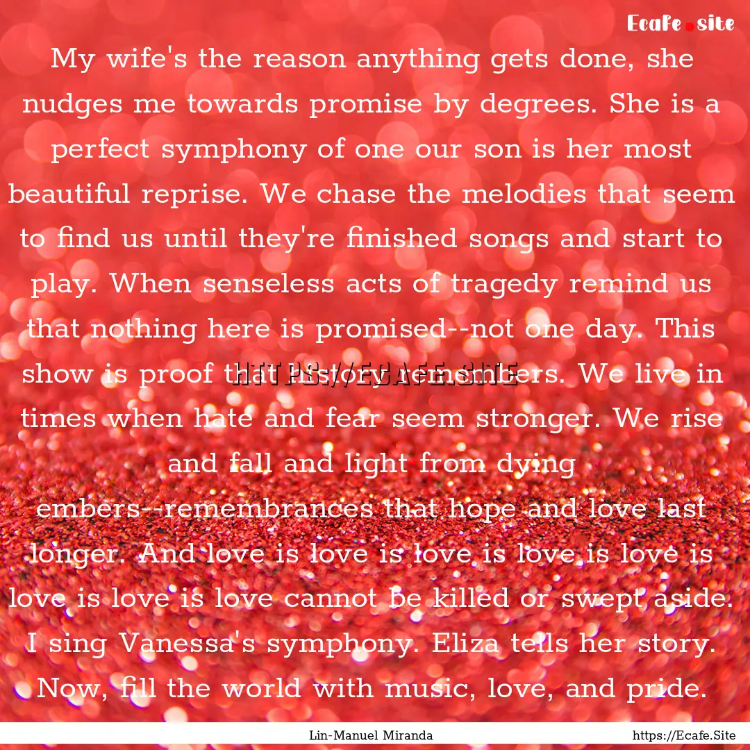 My wife's the reason anything gets done,.... : Quote by Lin-Manuel Miranda