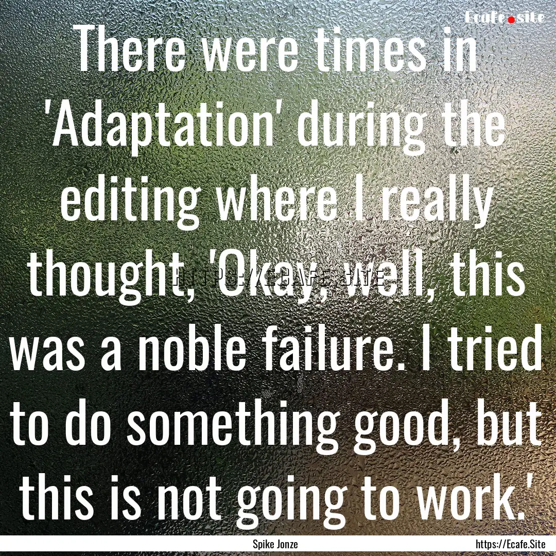 There were times in 'Adaptation' during the.... : Quote by Spike Jonze