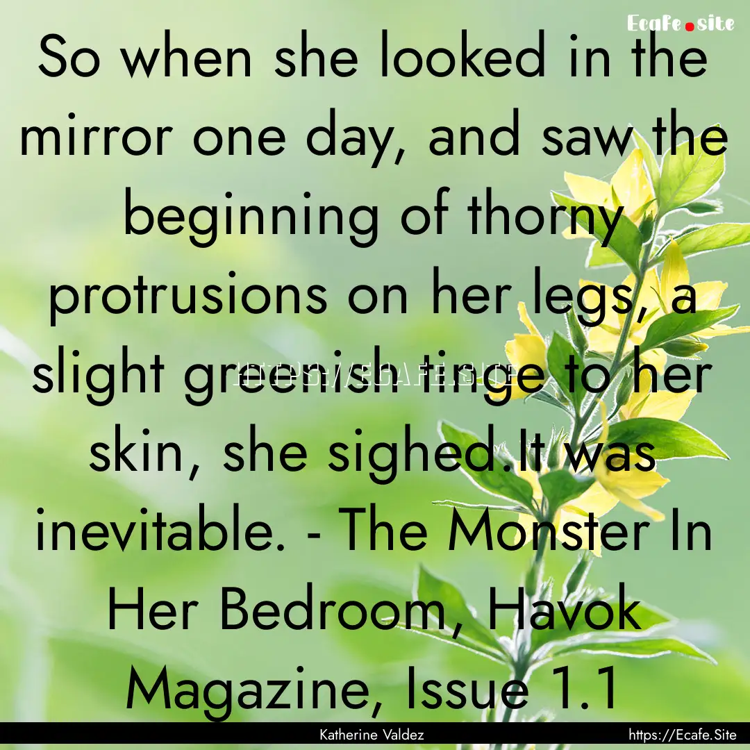 So when she looked in the mirror one day,.... : Quote by Katherine Valdez