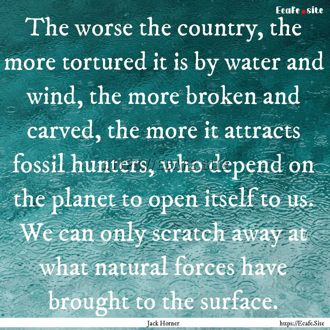 The worse the country, the more tortured.... : Quote by Jack Horner