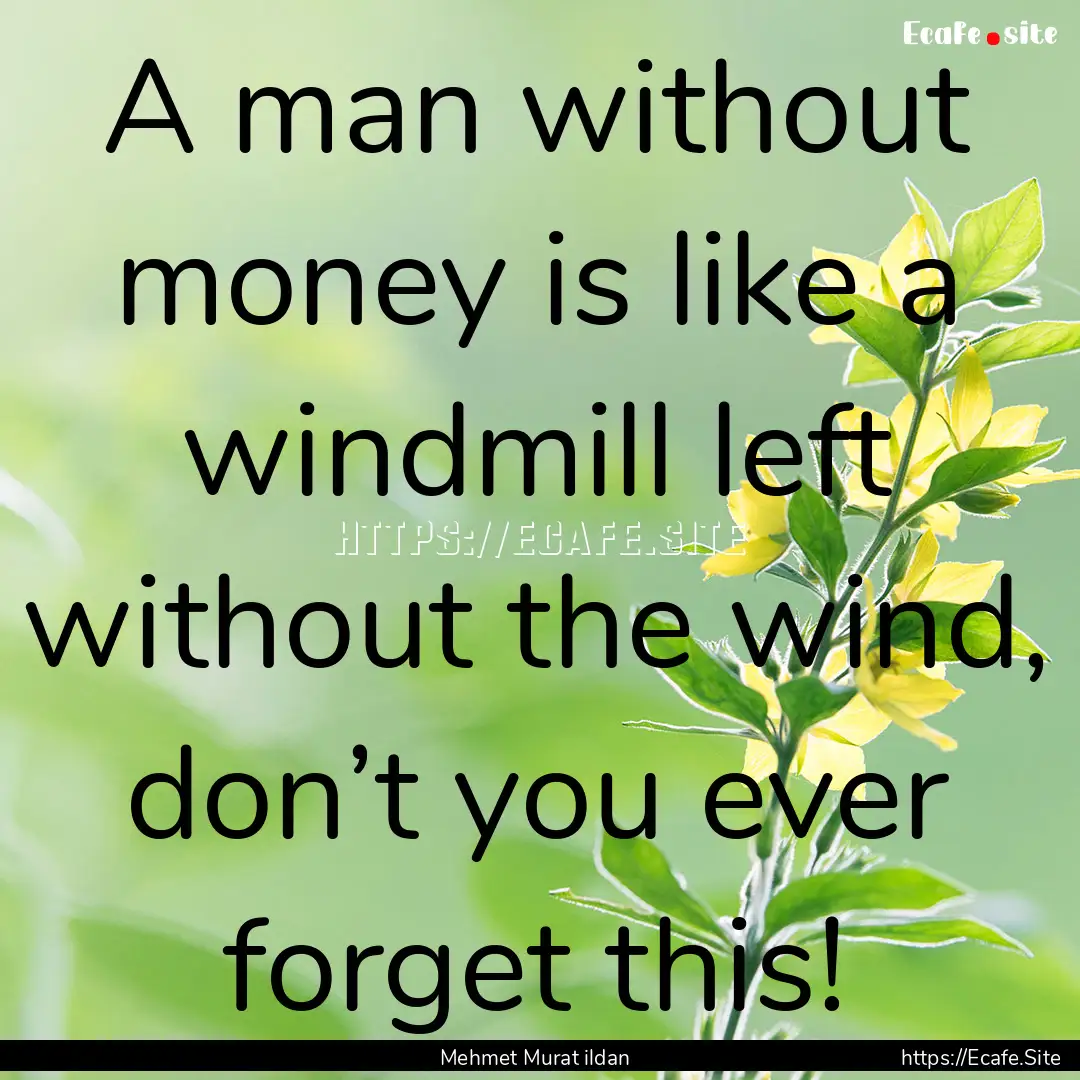 A man without money is like a windmill left.... : Quote by Mehmet Murat ildan