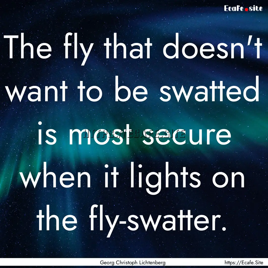 The fly that doesn't want to be swatted is.... : Quote by Georg Christoph Lichtenberg