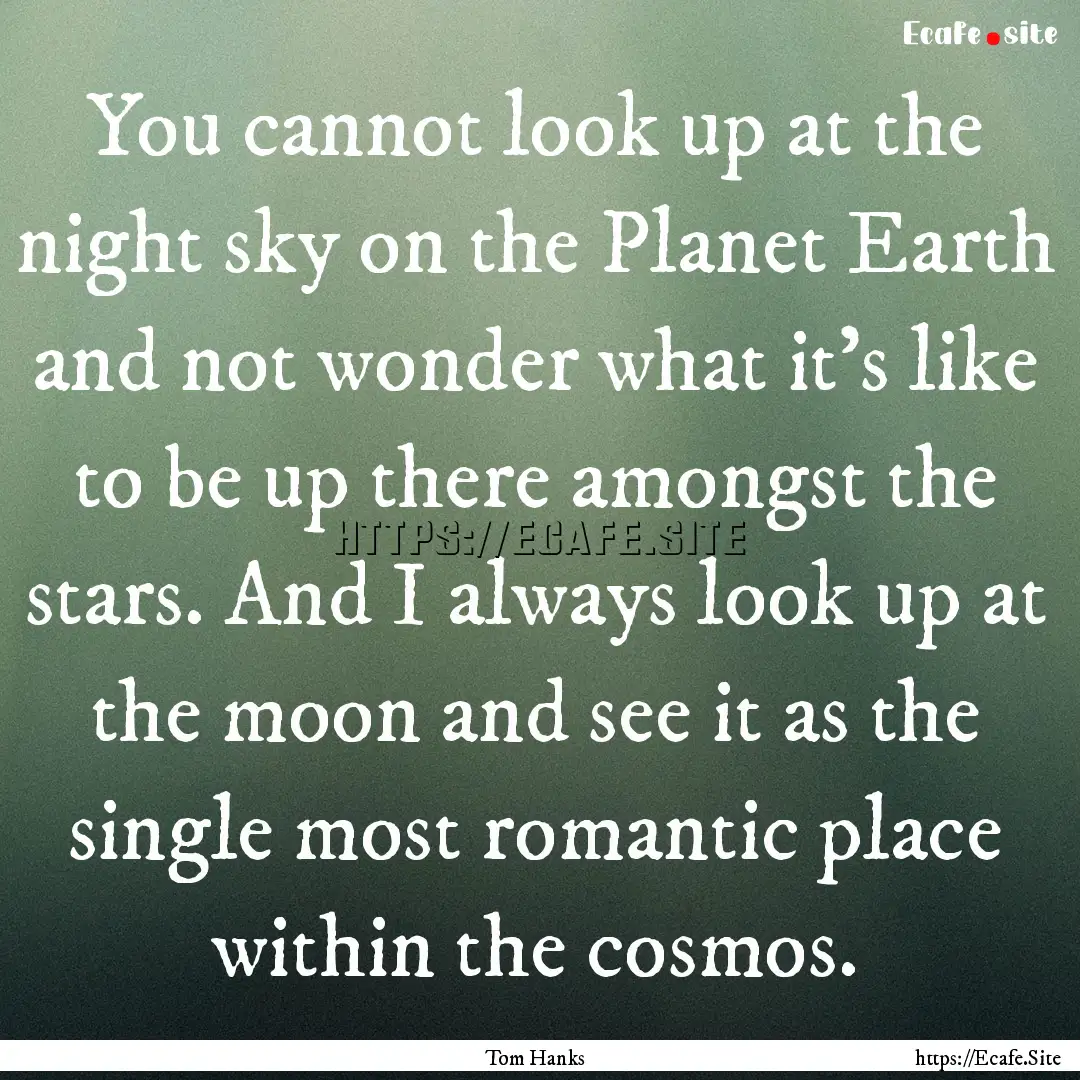 You cannot look up at the night sky on the.... : Quote by Tom Hanks