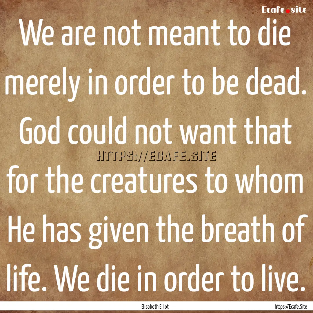 We are not meant to die merely in order to.... : Quote by Elisabeth Elliot