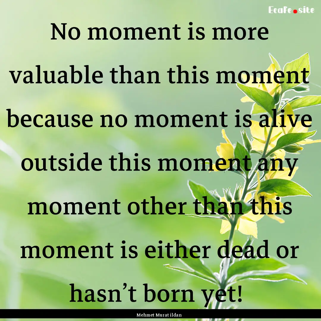 No moment is more valuable than this moment.... : Quote by Mehmet Murat ildan