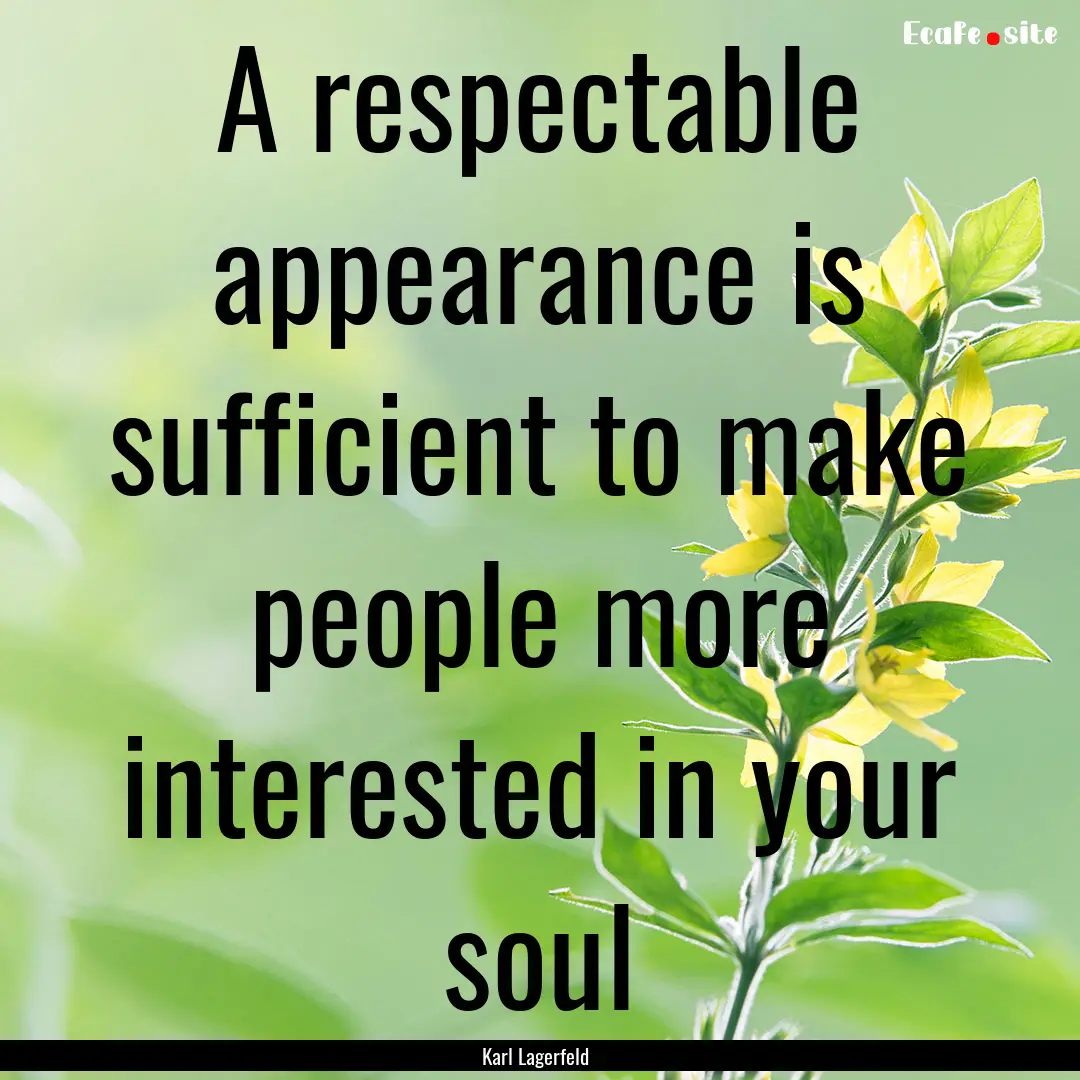 A respectable appearance is sufficient to.... : Quote by Karl Lagerfeld