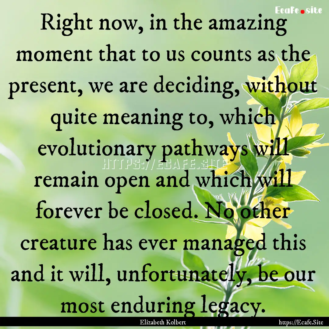 Right now, in the amazing moment that to.... : Quote by Elizabeth Kolbert