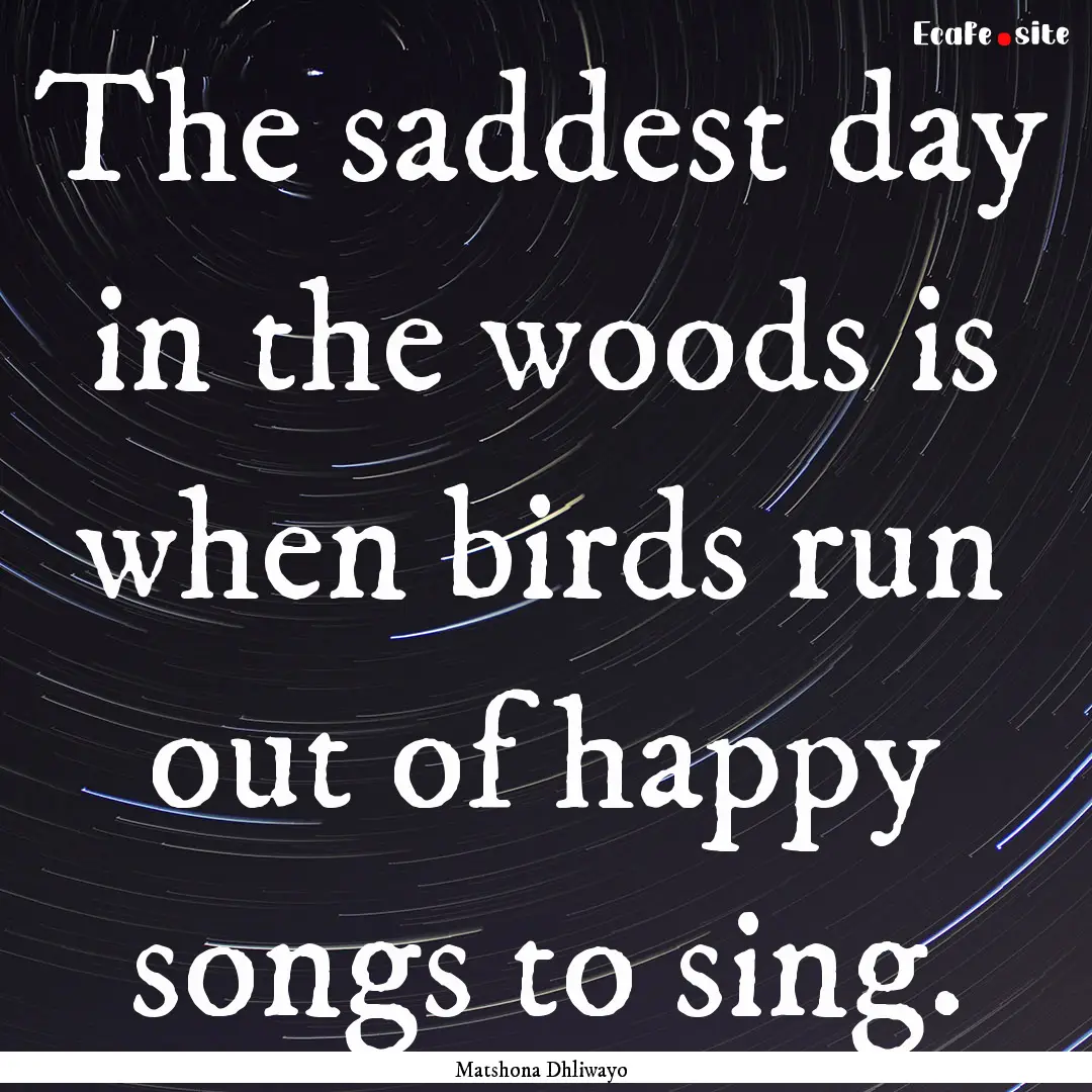 The saddest day in the woods is when birds.... : Quote by Matshona Dhliwayo