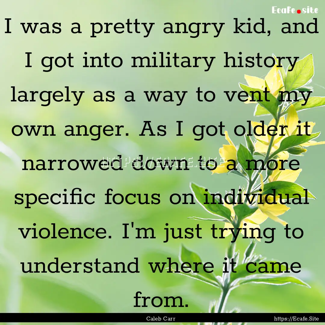 I was a pretty angry kid, and I got into.... : Quote by Caleb Carr