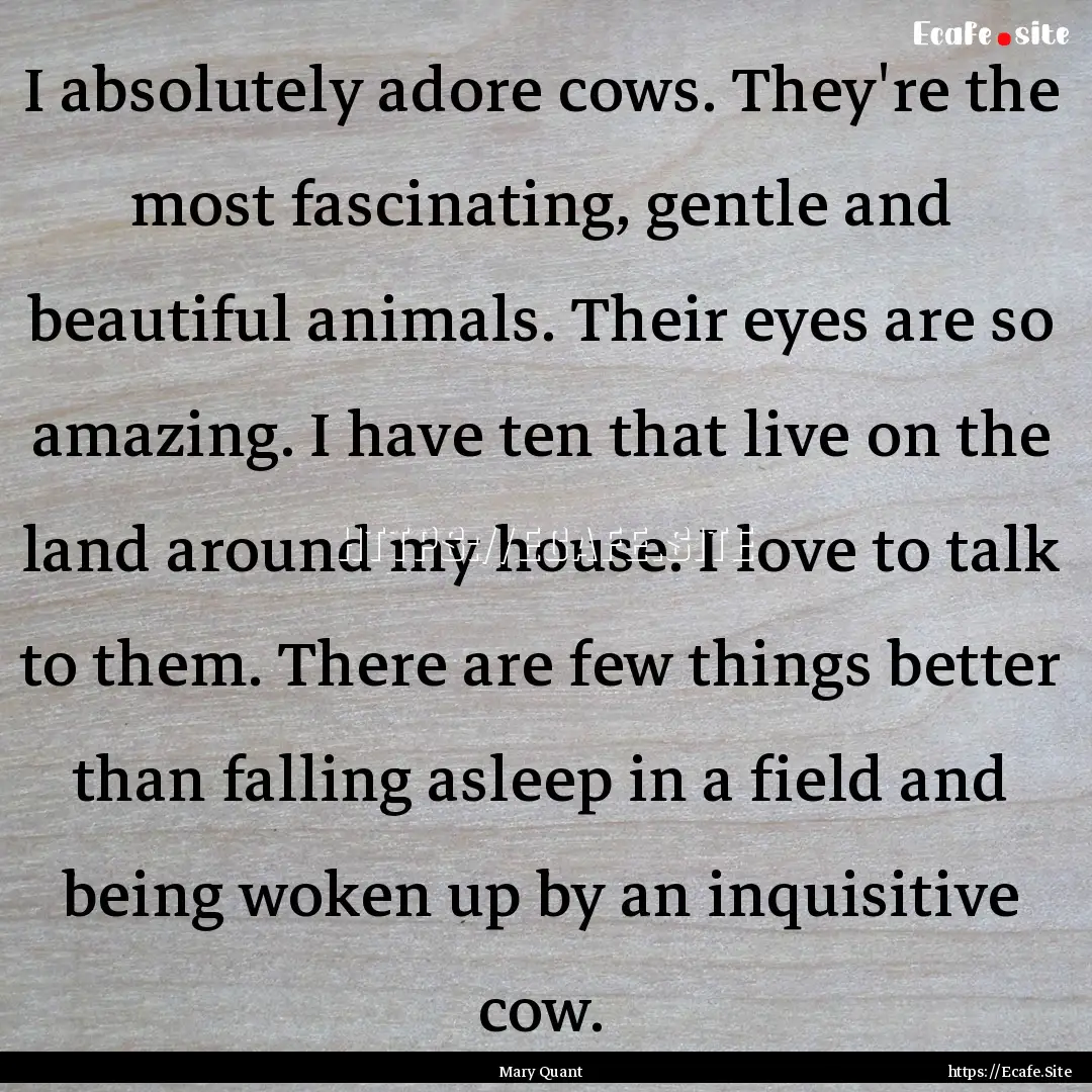 I absolutely adore cows. They're the most.... : Quote by Mary Quant