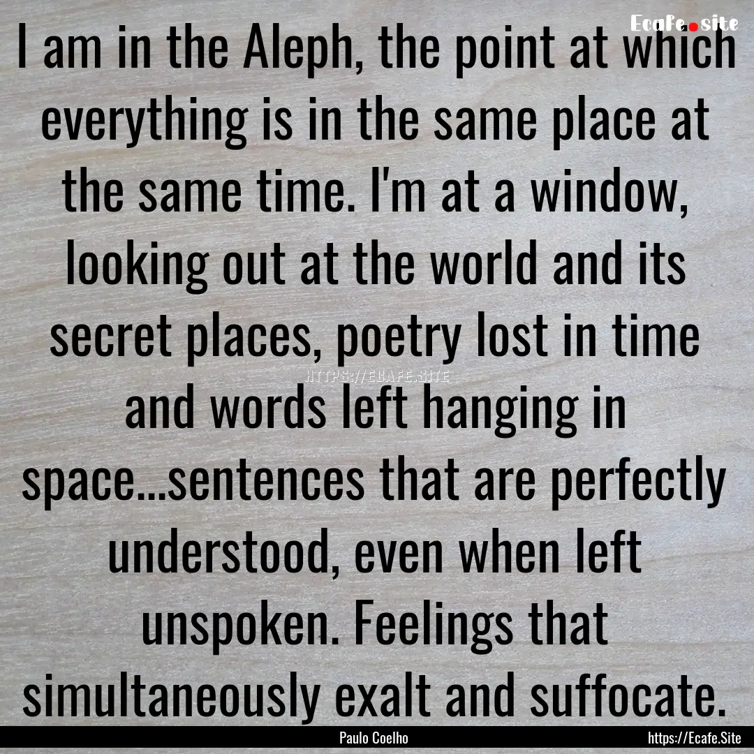 I am in the Aleph, the point at which everything.... : Quote by Paulo Coelho