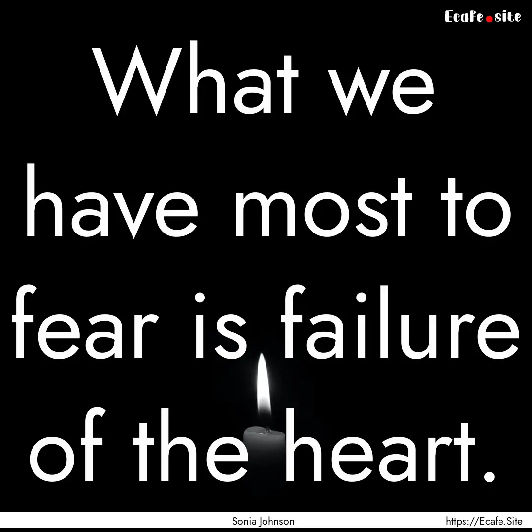 What we have most to fear is failure of the.... : Quote by Sonia Johnson