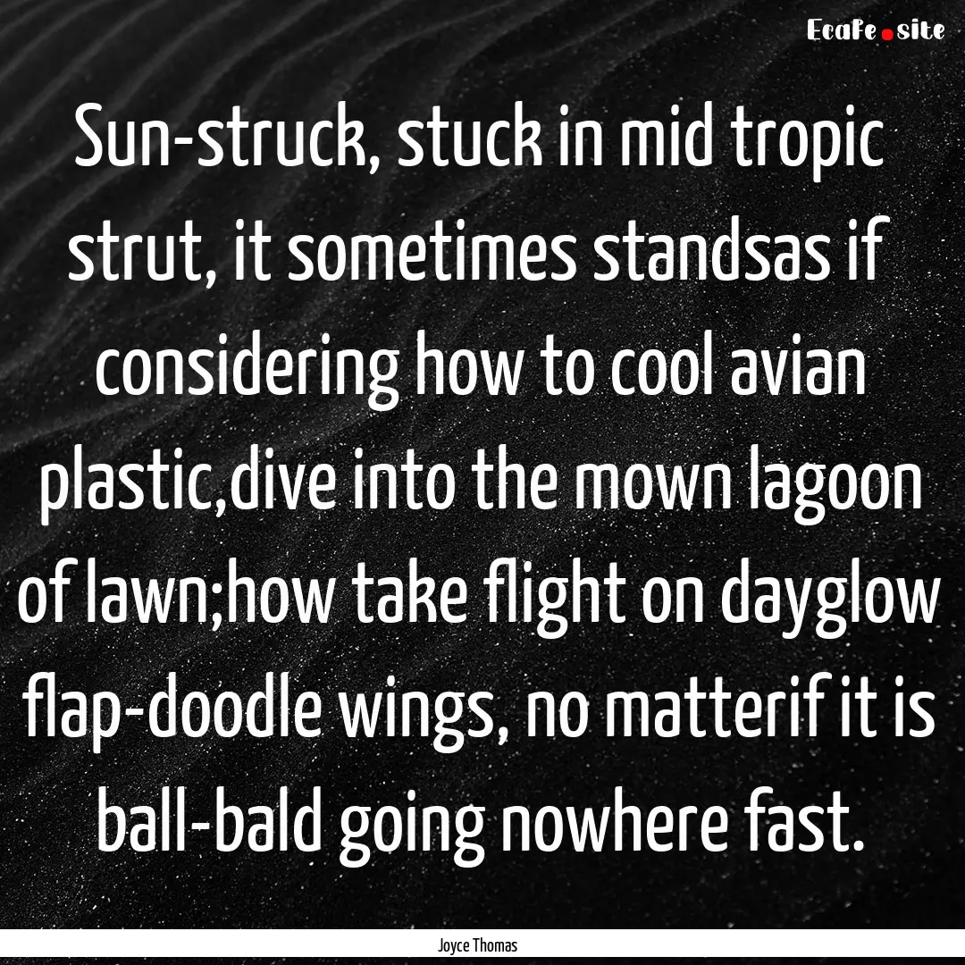 Sun-struck, stuck in mid tropic strut, it.... : Quote by Joyce Thomas