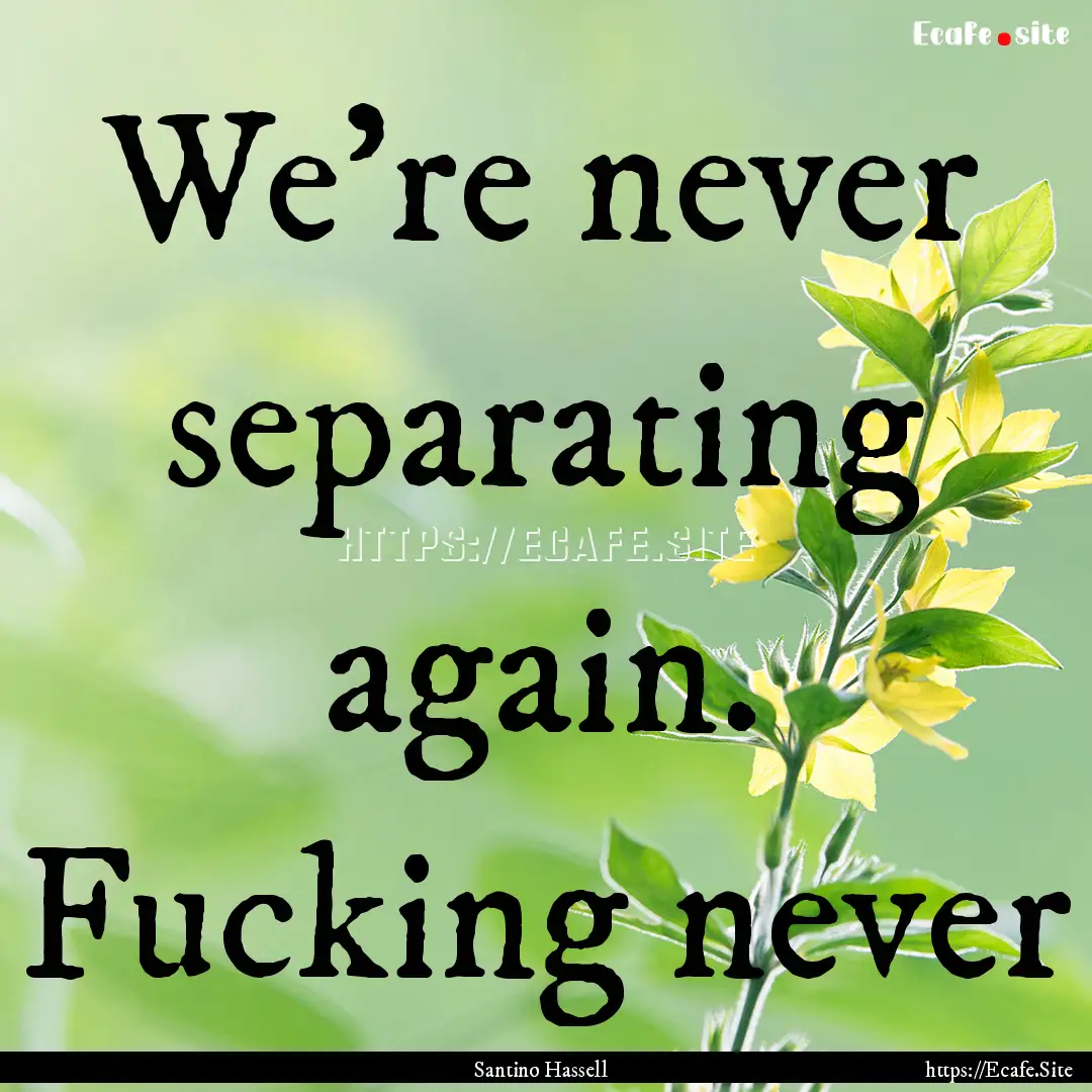 We're never separating again. Fucking never.... : Quote by Santino Hassell