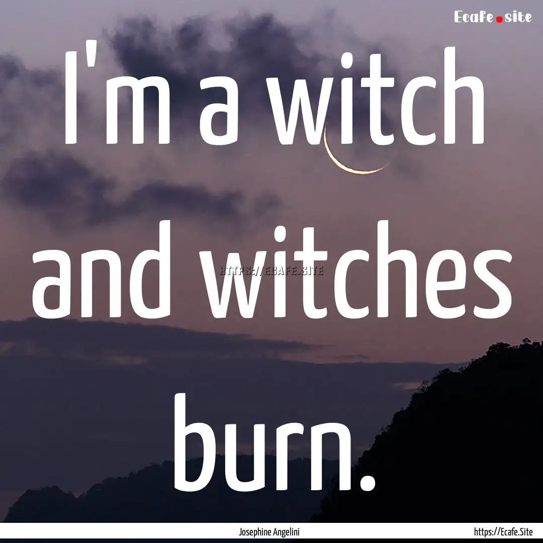 I'm a witch and witches burn. : Quote by Josephine Angelini