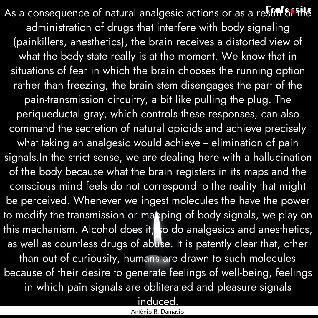 As a consequence of natural analgesic actions.... : Quote by António R. Damásio