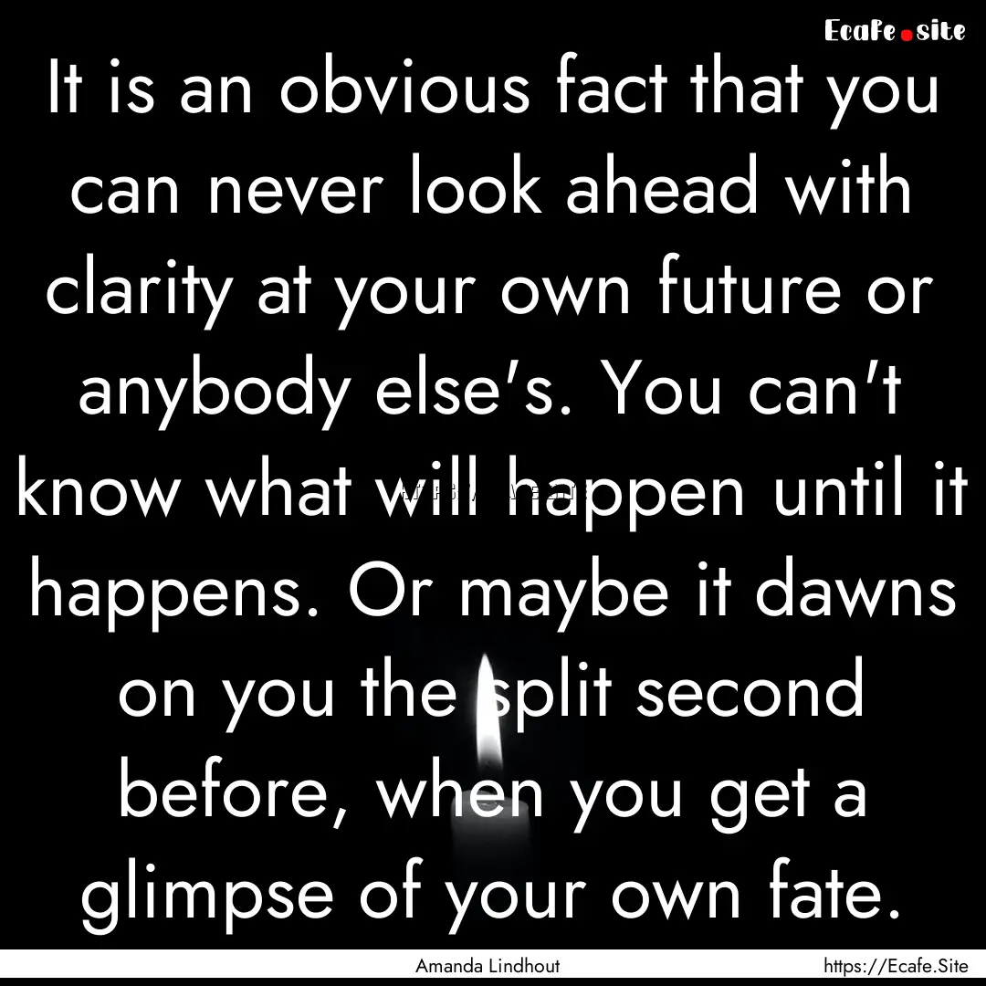 It is an obvious fact that you can never.... : Quote by Amanda Lindhout