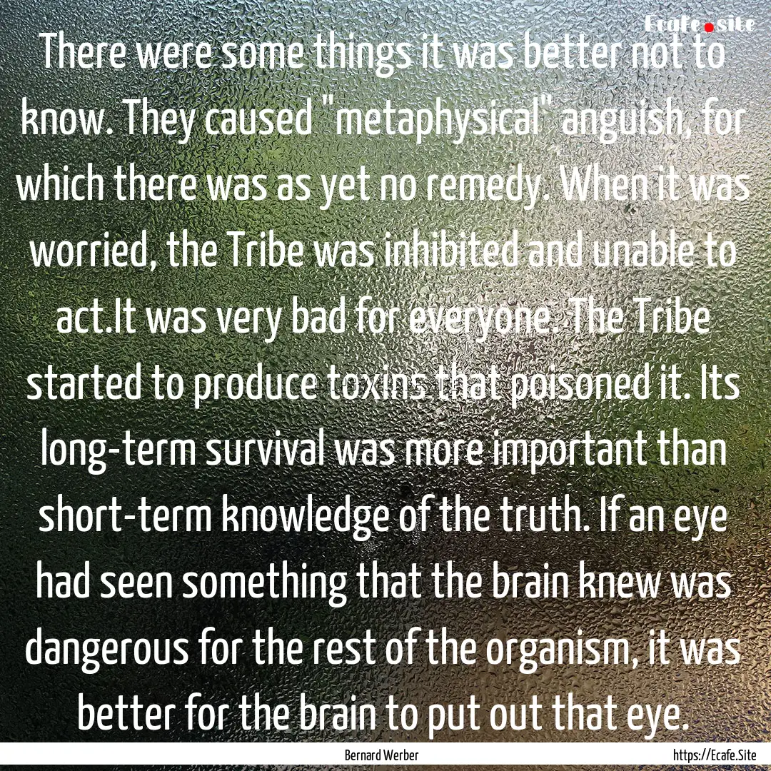 There were some things it was better not.... : Quote by Bernard Werber