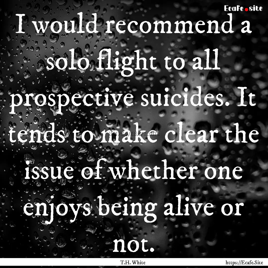 I would recommend a solo flight to all prospective.... : Quote by T.H. White