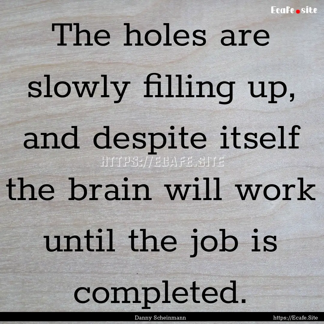 The holes are slowly filling up, and despite.... : Quote by Danny Scheinmann