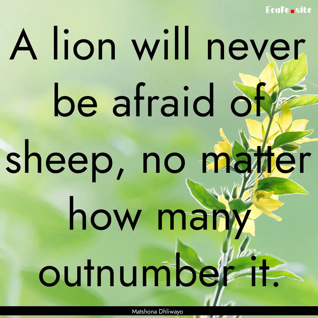 A lion will never be afraid of sheep, no.... : Quote by Matshona Dhliwayo