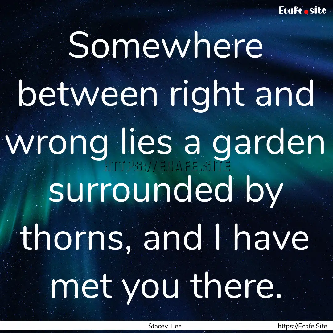 Somewhere between right and wrong lies a.... : Quote by Stacey Lee