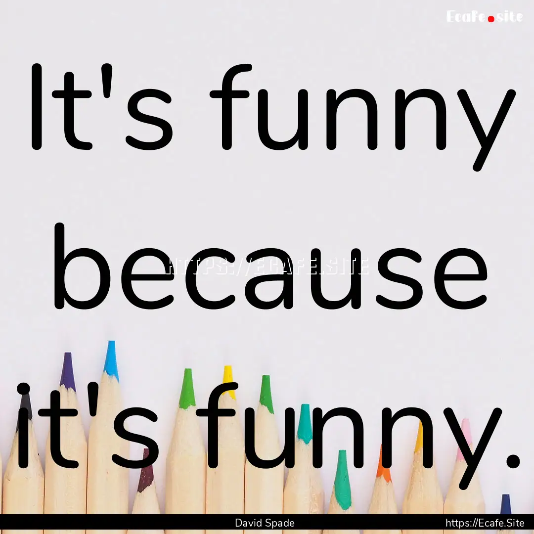 It's funny because it's funny. : Quote by David Spade