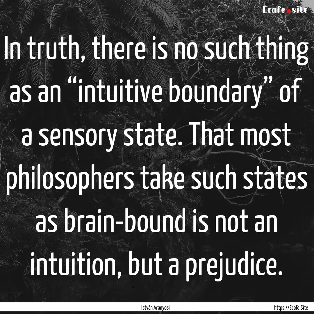 In truth, there is no such thing as an “intuitive.... : Quote by István Aranyosi