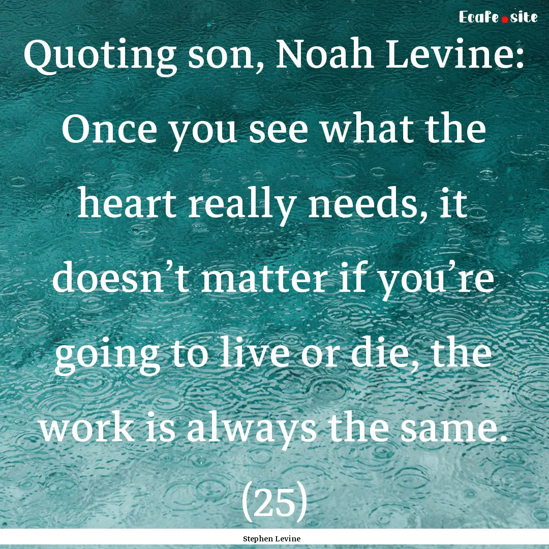 Quoting son, Noah Levine: Once you see what.... : Quote by Stephen Levine