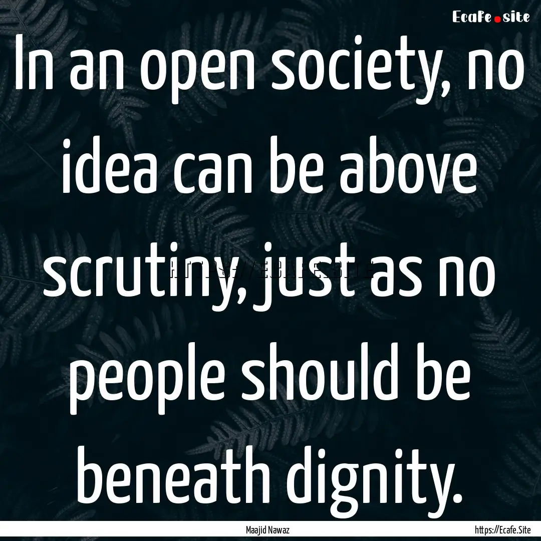 In an open society, no idea can be above.... : Quote by Maajid Nawaz