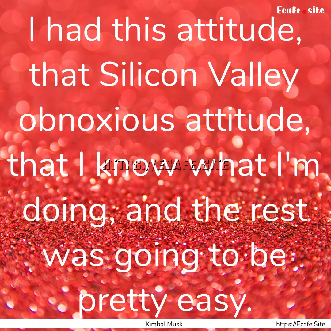 I had this attitude, that Silicon Valley.... : Quote by Kimbal Musk