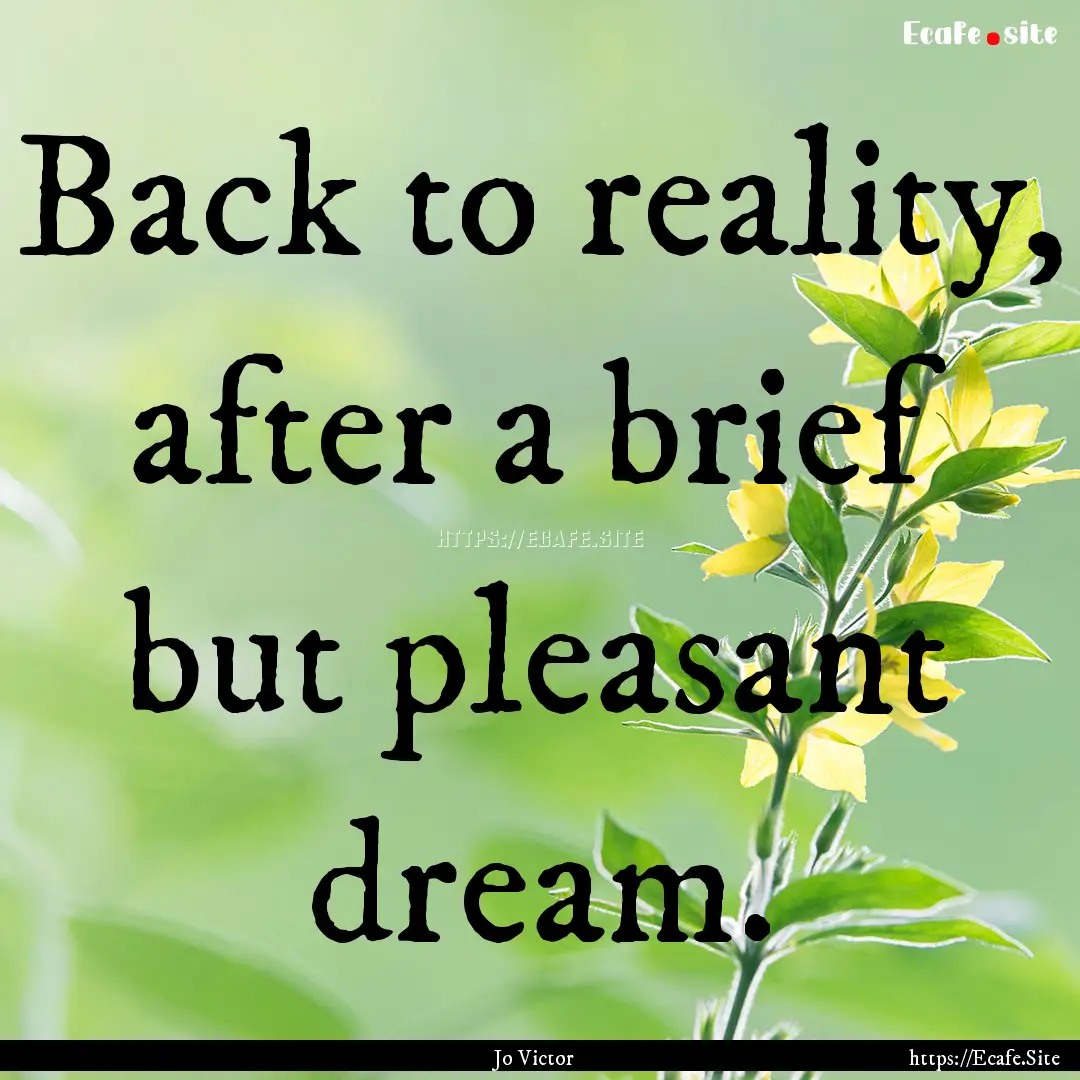 Back to reality, after a brief but pleasant.... : Quote by Jo Victor