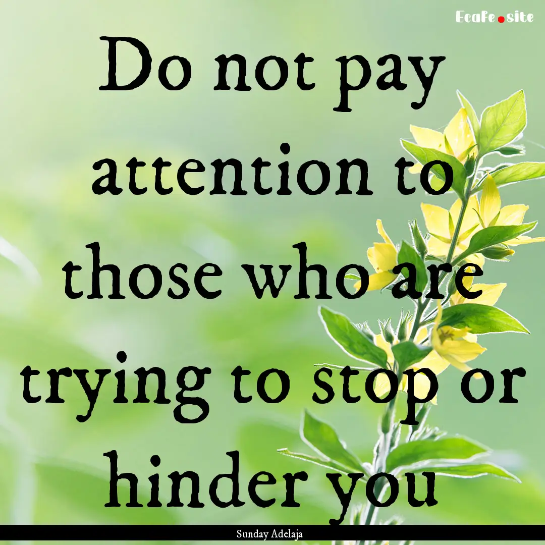 Do not pay attention to those who are trying.... : Quote by Sunday Adelaja