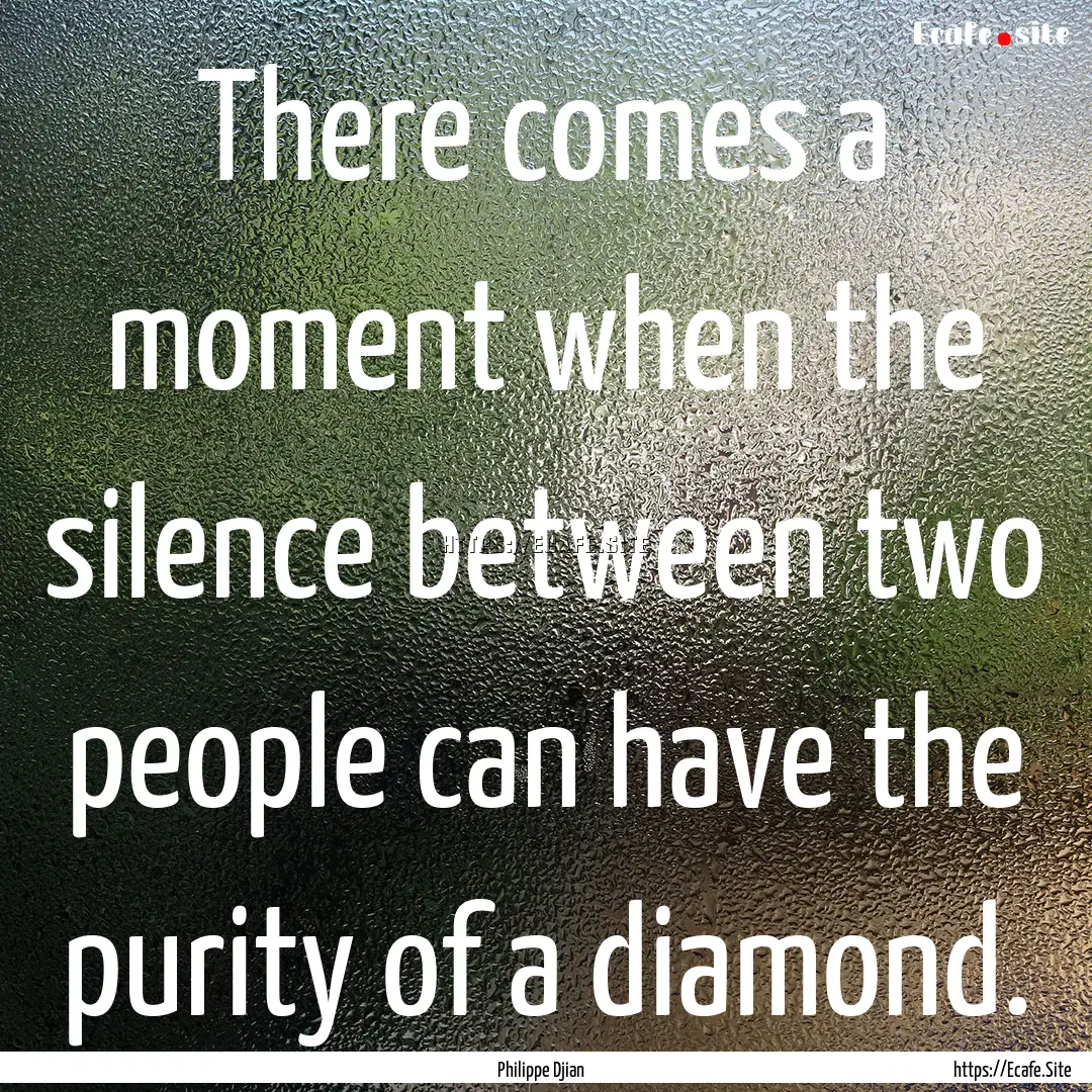 There comes a moment when the silence between.... : Quote by Philippe Djian