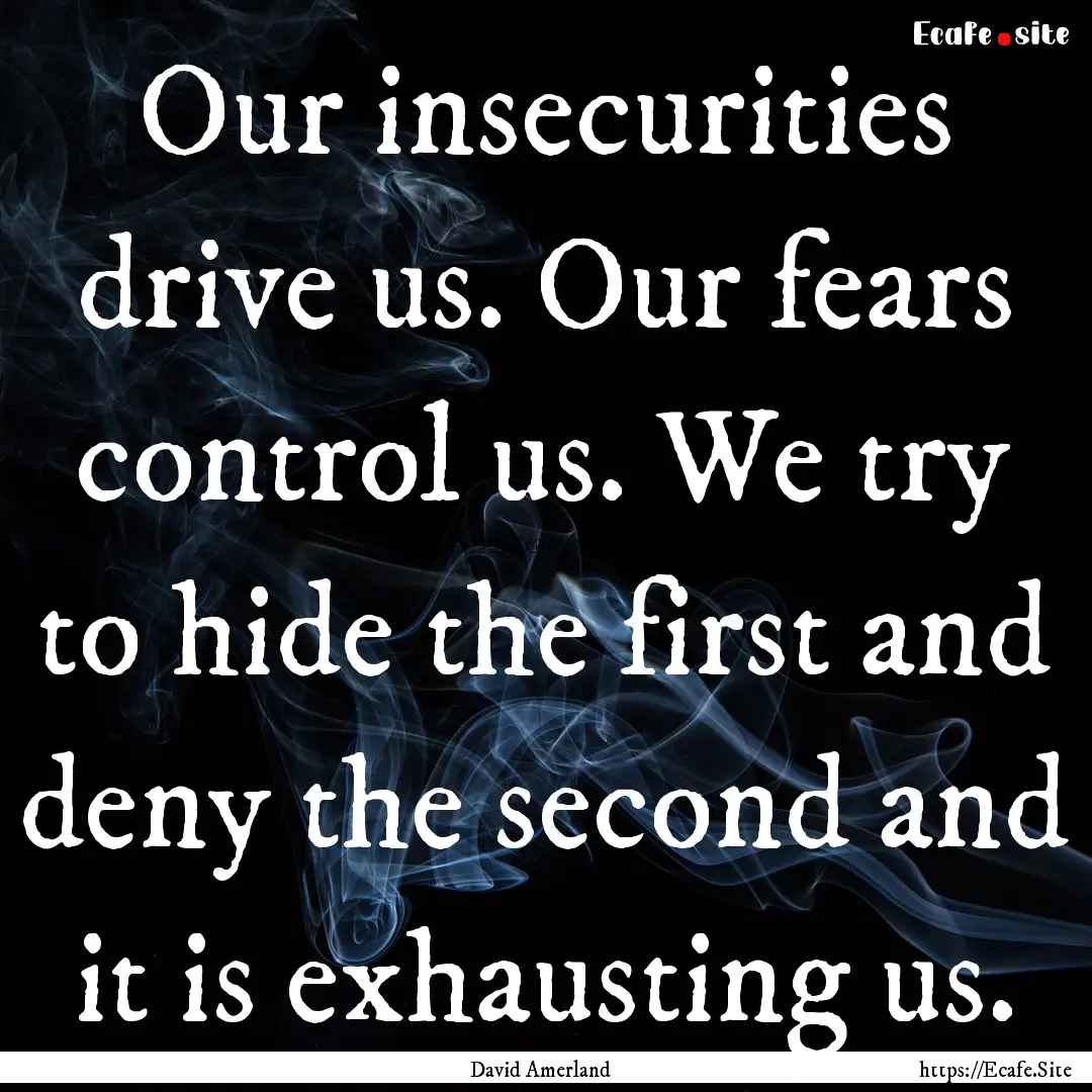 Our insecurities drive us. Our fears control.... : Quote by David Amerland