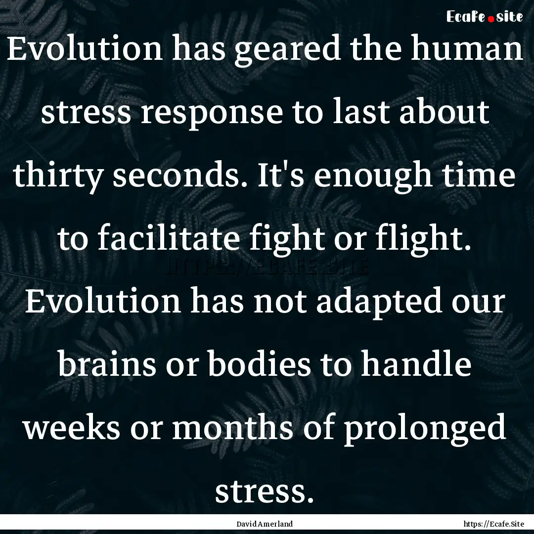 Evolution has geared the human stress response.... : Quote by David Amerland