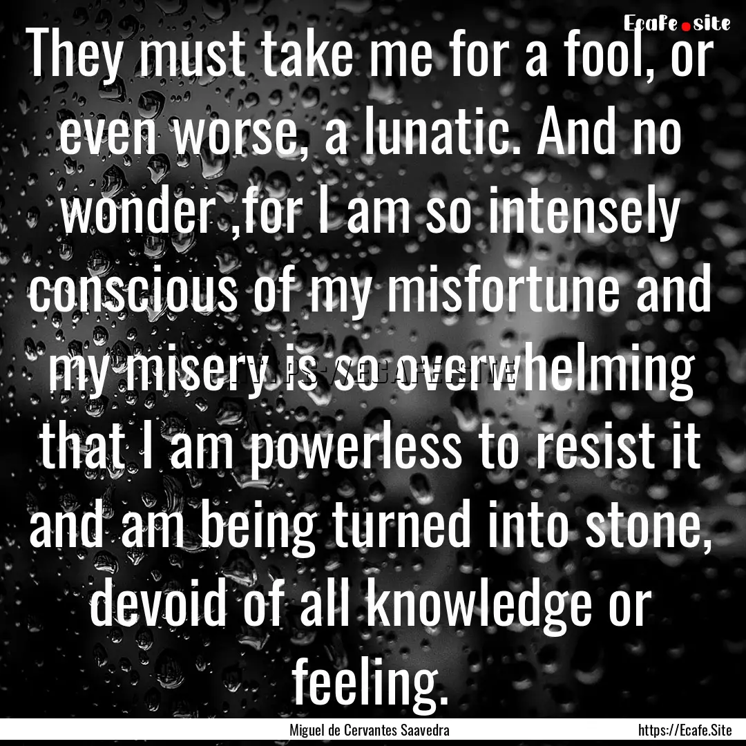 They must take me for a fool, or even worse,.... : Quote by Miguel de Cervantes Saavedra