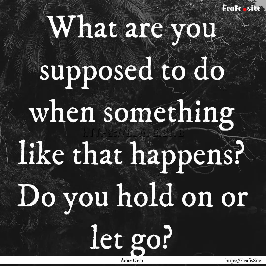 What are you supposed to do when something.... : Quote by Anne Ursu