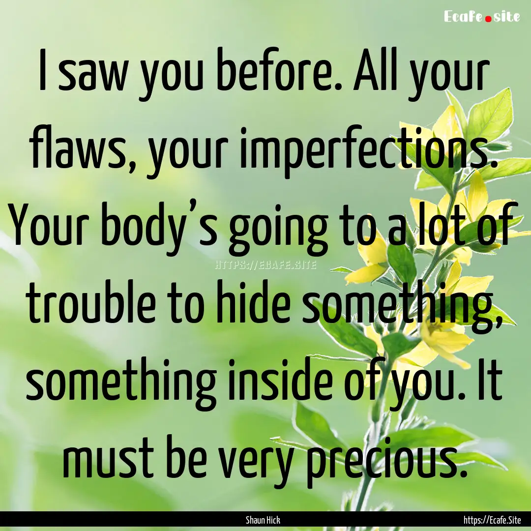 I saw you before. All your flaws, your imperfections..... : Quote by Shaun Hick