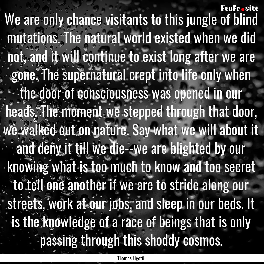 We are only chance visitants to this jungle.... : Quote by Thomas Ligotti