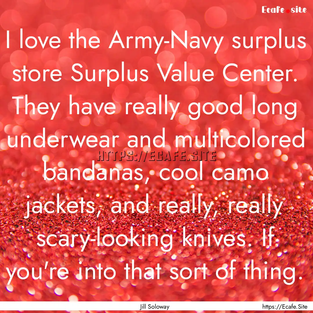 I love the Army-Navy surplus store Surplus.... : Quote by Jill Soloway