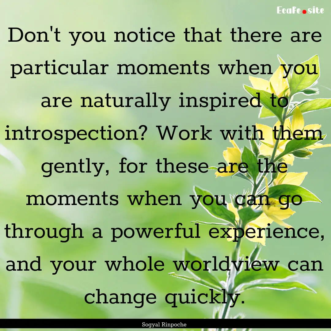 Don't you notice that there are particular.... : Quote by Sogyal Rinpoche