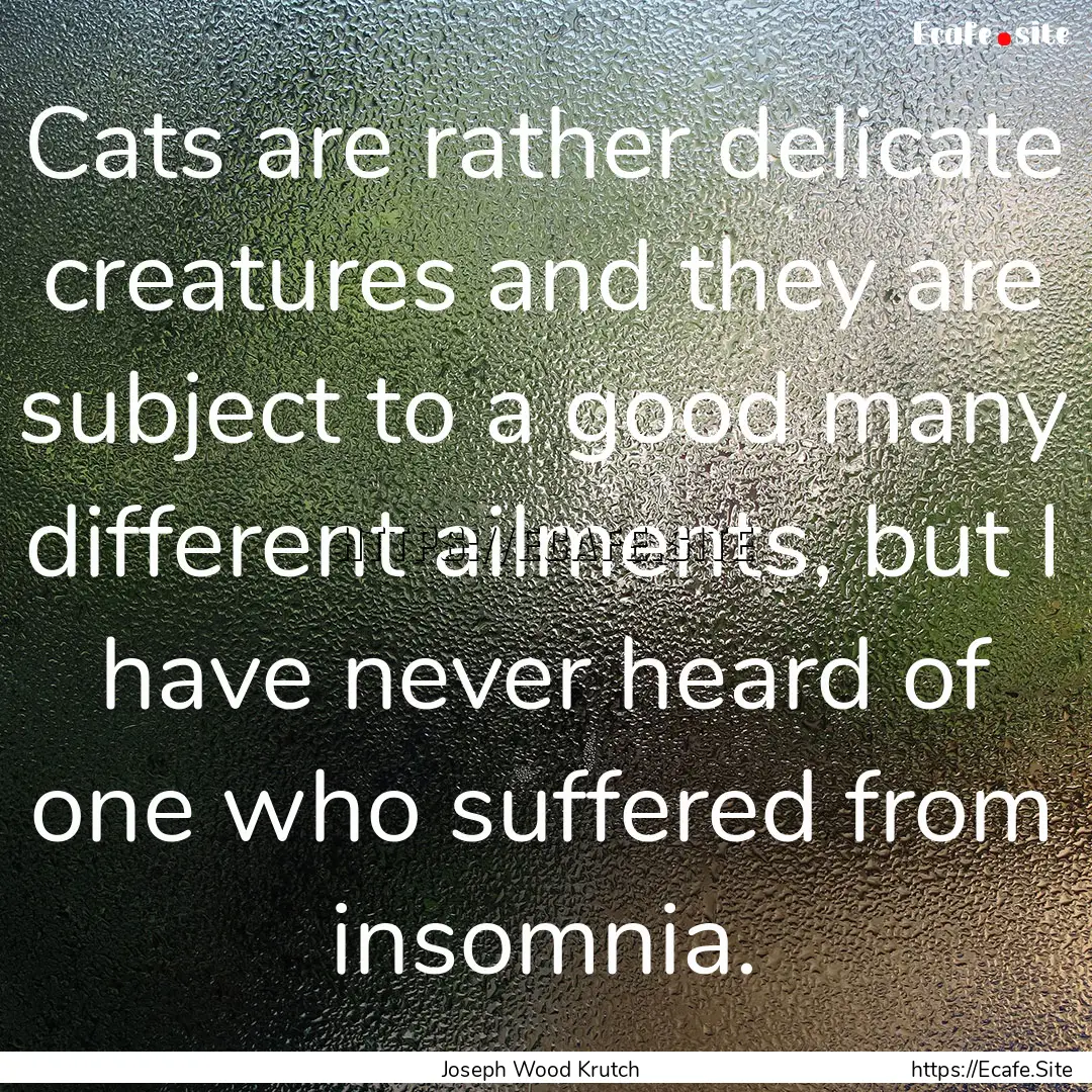 Cats are rather delicate creatures and they.... : Quote by Joseph Wood Krutch