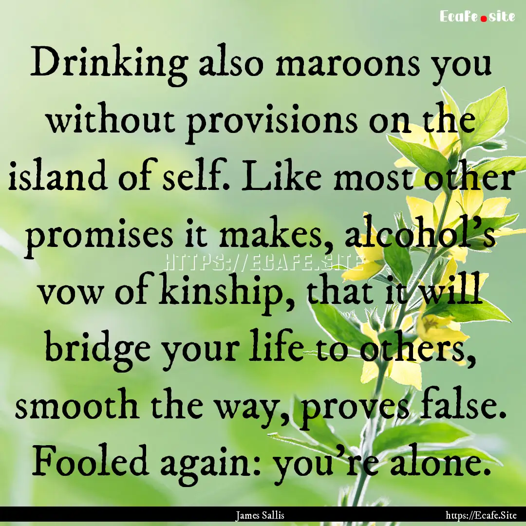 Drinking also maroons you without provisions.... : Quote by James Sallis