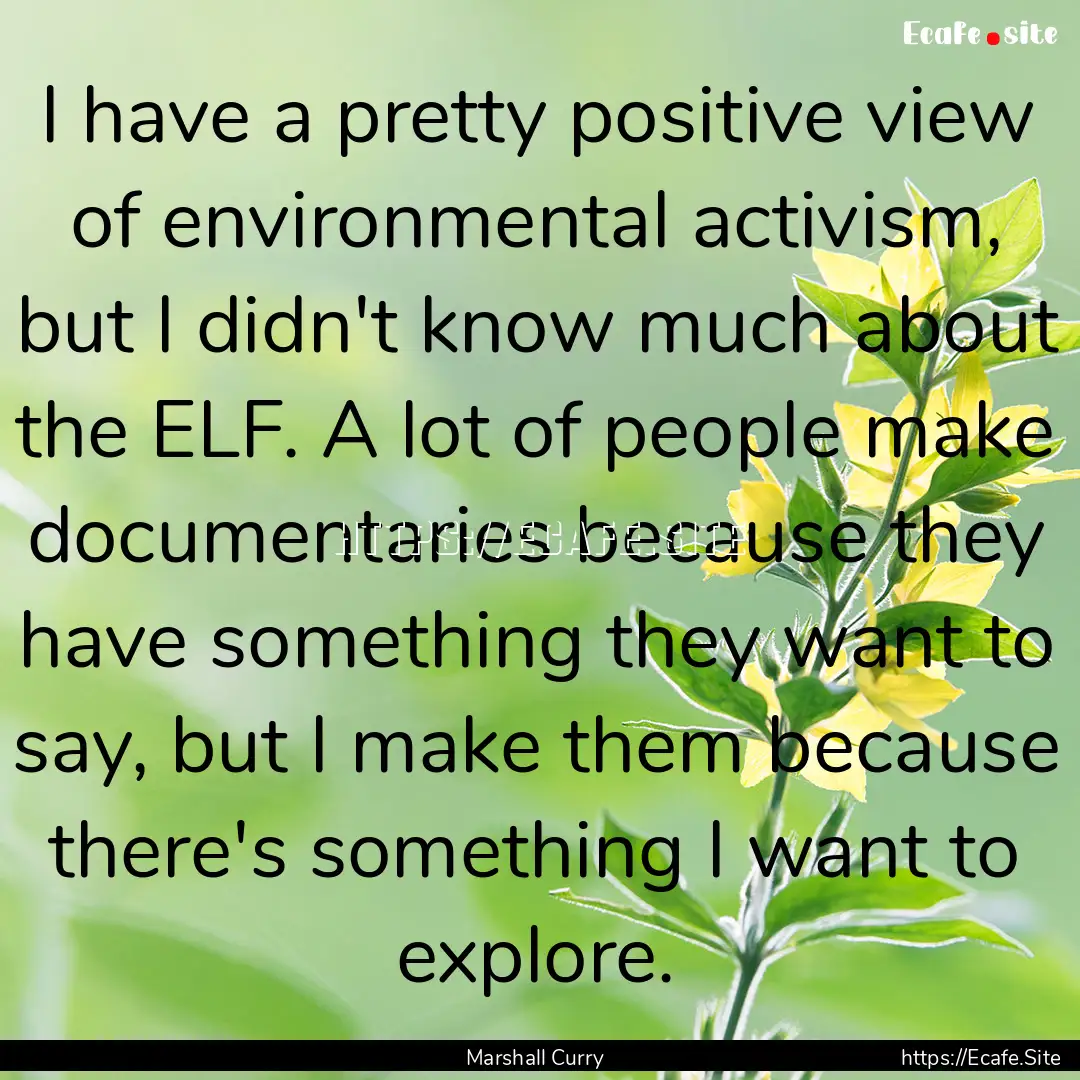 I have a pretty positive view of environmental.... : Quote by Marshall Curry