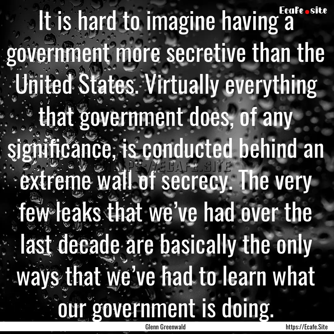 It is hard to imagine having a government.... : Quote by Glenn Greenwald