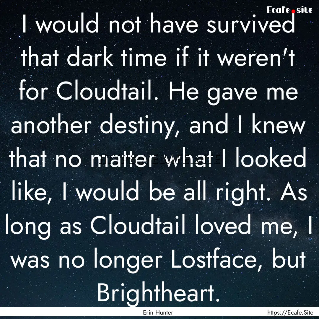 I would not have survived that dark time.... : Quote by Erin Hunter