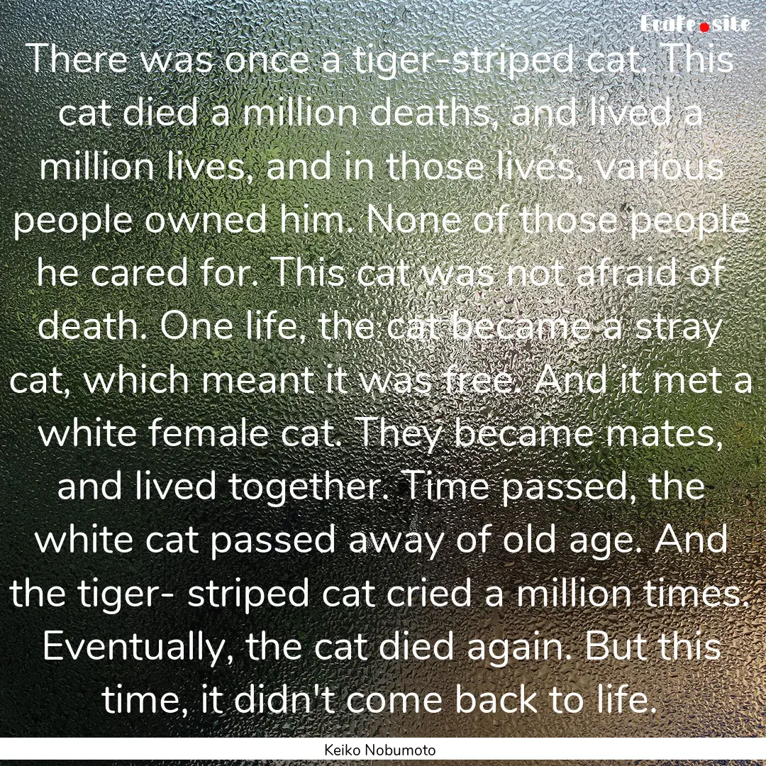 There was once a tiger-striped cat. This.... : Quote by Keiko Nobumoto